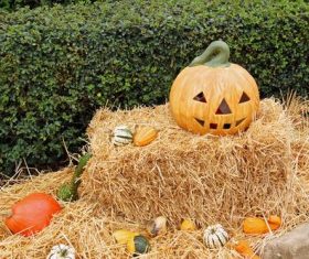 Halloween funny pumpkin lights Stock Photo 08