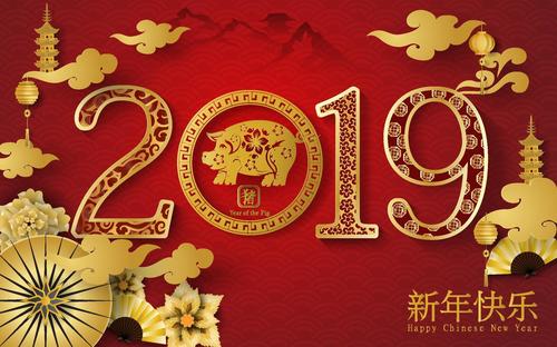 Happy chinese new year 2019 design vector