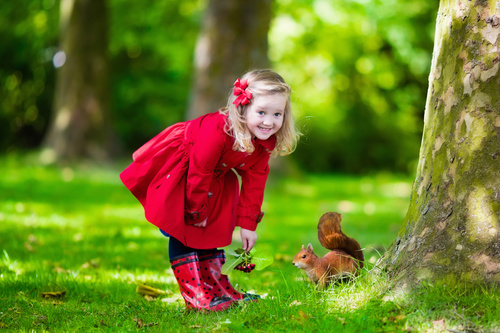 Little girl feeding a squirrel Stock Photo