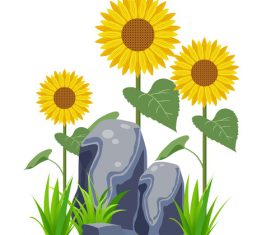 Minimalistic sunflower flower vector cartoon hand drawn