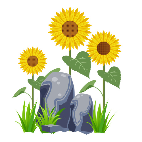 Minimalistic sunflower flower vector cartoon hand drawn