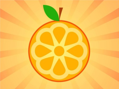 Orange Icon vector