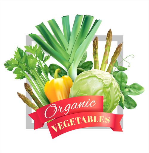 Organic vegetable with white background vector