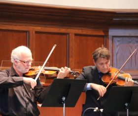 People playing the violin Stock Photo 01
