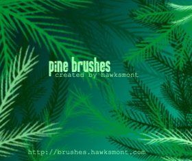 Pine Photoshop Brushes