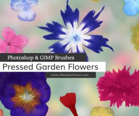 Pressed Garden Flowers Photoshop Brushes