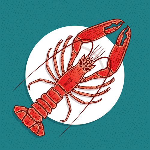 Restaurant lobster sea food vector
