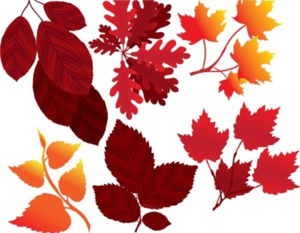Shiny red leaves vector design