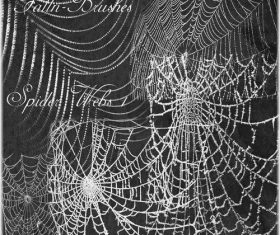 Spider Web Photoshop Brushes