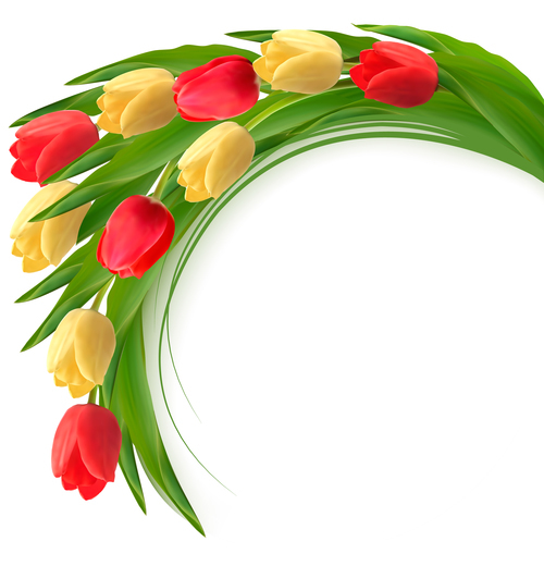Spring flower background with colorful flowers vector