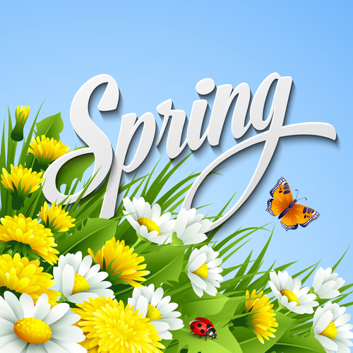 Spring flower with blue background vector
