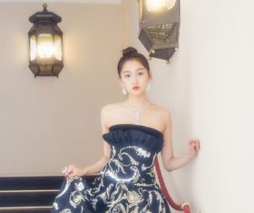 Stock Photo Beautiful Chinese girl in black gold long dress