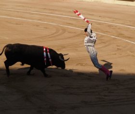 Stock Photo Bullfighter performing bullfighting 02