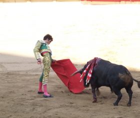 Stock Photo Bullfighter performing bullfighting 03