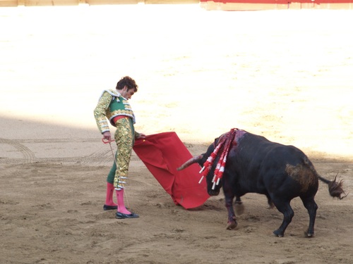 Stock Photo Bullfighter performing bullfighting 03