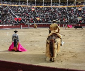 Stock Photo Bullfighter performing bullfighting 04