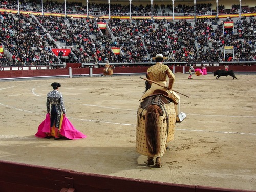 Stock Photo Bullfighter performing bullfighting 04