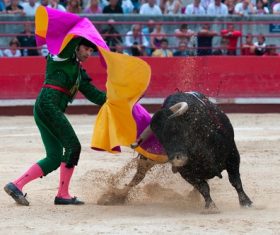 Stock Photo Bullfighter performing bullfighting 05