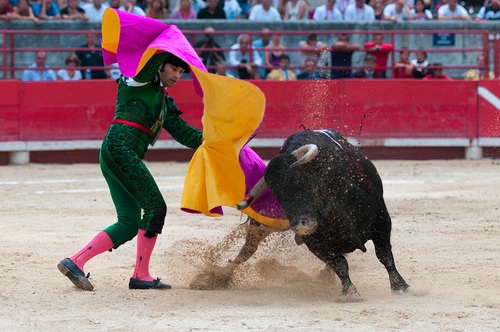 Stock Photo Bullfighter performing bullfighting 05