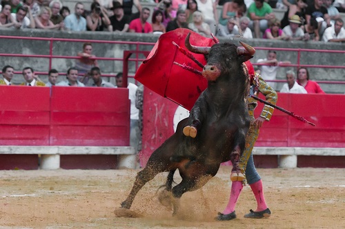 Stock Photo Bullfighter performing bullfighting 06
