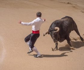 Stock Photo Bullfighter performing bullfighting 07