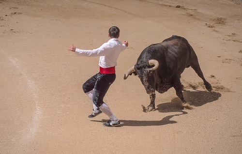 Stock Photo Bullfighter performing bullfighting 07