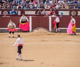 Stock Photo Bullfighter performing bullfighting 08