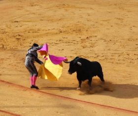 Stock Photo Bullfighter performing bullfighting 09