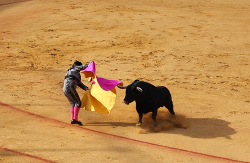 Stock Photo Bullfighter performing bullfighting 09