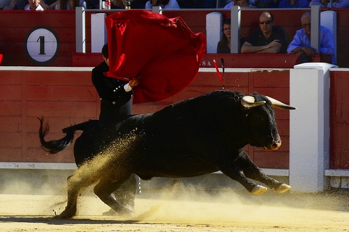 Stock Photo Bullfighter performing bullfighting 10