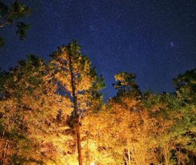 Stock Photo Camping night