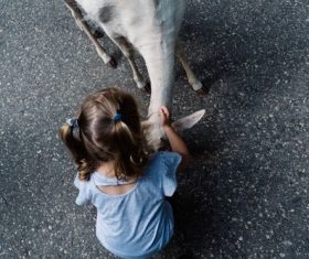 Stock Photo Little girl petting a goat