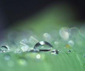 Stock Photo Macro Photography raindrop