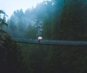 Stock Photo Suspension bridge in the mountains