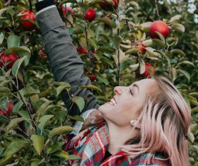 Stock Photo Woman picking apple