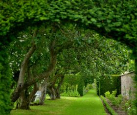 United Kingdom Howard manors scenery Stock Photo 07