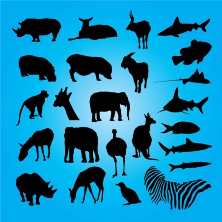 Various Animals design elements set vector