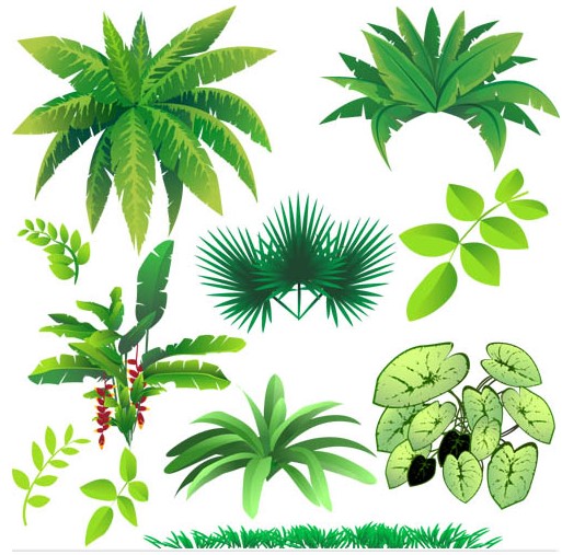 Various Jungle Plants vector
