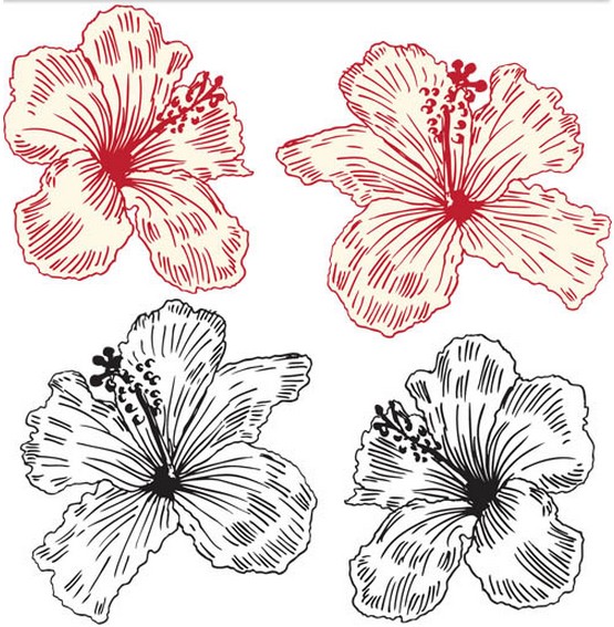 Various Ornate Flowers vector