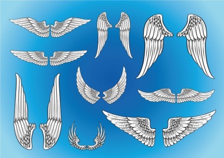 Vector Art Wings shiny