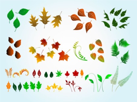 Vector Leaves Graphics vectors material