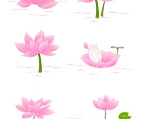 Vector hand drawn lotus flower illustration