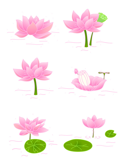 Vector hand drawn lotus flower set illustration elements