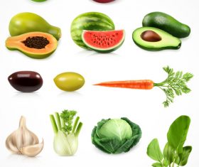 Vegetable and fruit vector