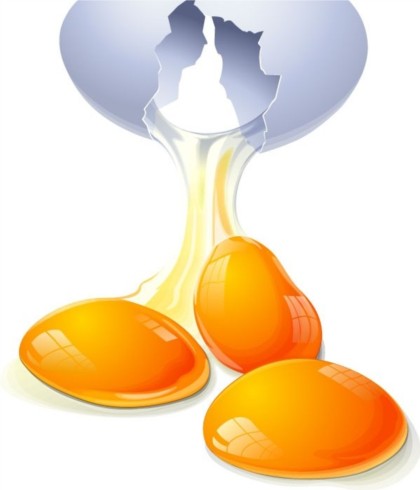 Vivid egg and egg yolk set vector