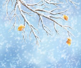 Winter cold christmas background vectors set 07