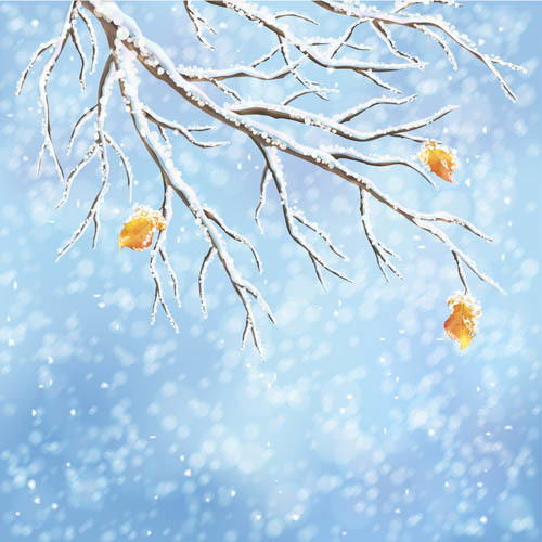 Winter cold christmas background vectors set 07