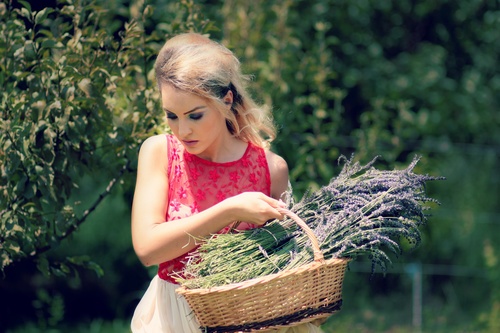 Woman holding lavender Stock Photo