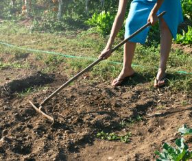 Woman in Hoe the field Stock Photo