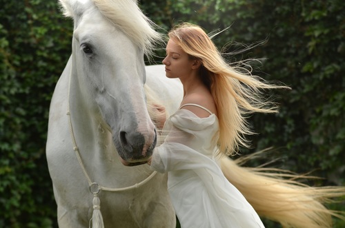 Young girl with horse Stock Photo